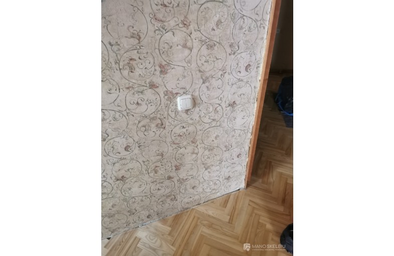 Apdailos darbai Viniuje