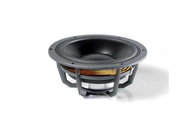 Dynaudio Esotec MW172