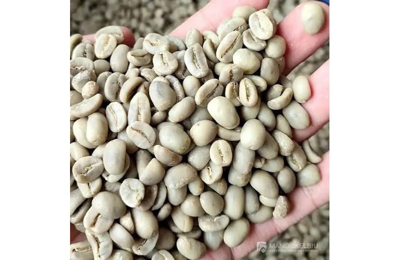 Green Arabica Coffee For Sell