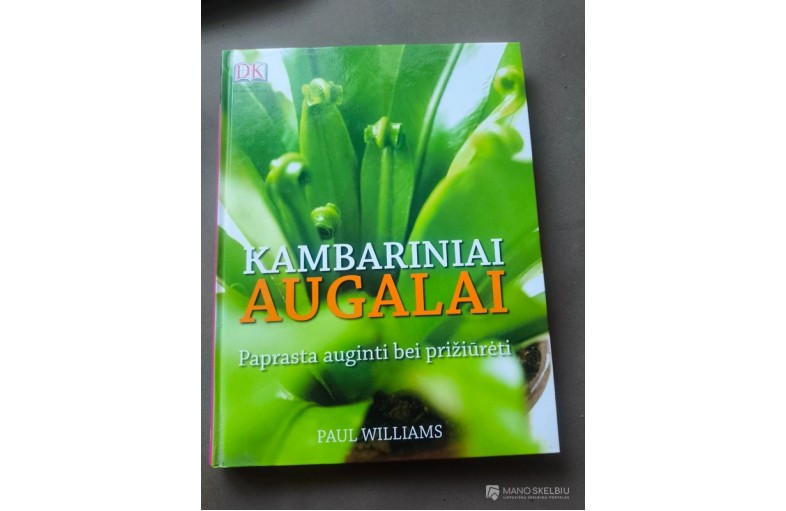 Kambariniai augalai