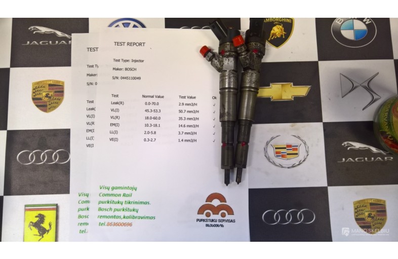 Kuro purkštukai Land Rover,Opel 0445110049