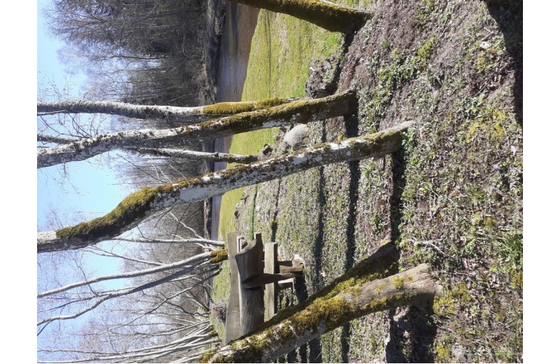 Miškas 