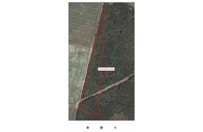 Parduodamas miškas 6.46ha