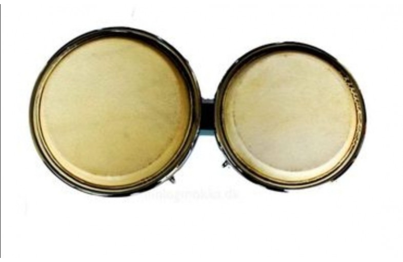 Petcusion Bongos SONOR chempion
