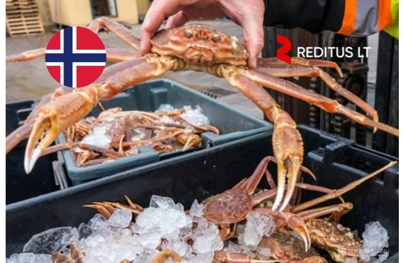 Produkcijos darbuotojai (krabai) – Norvegija
