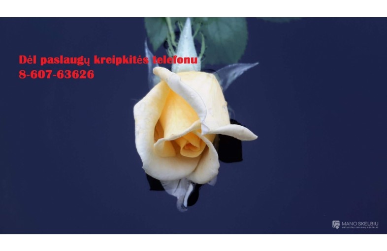 Profesionali, konfidenciali pagalba mokslams