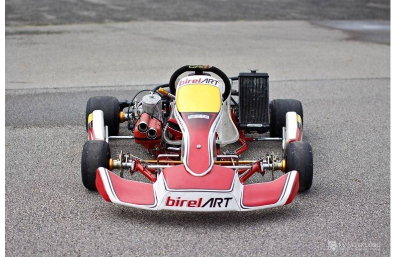 Sportinis KZ2 kartingas  1000Eur 2014m