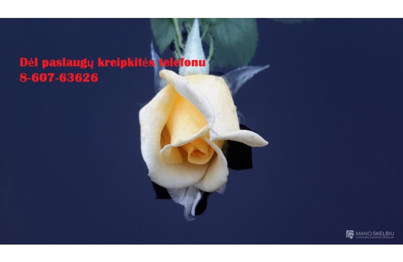 Studentams, doktorantams 860763626