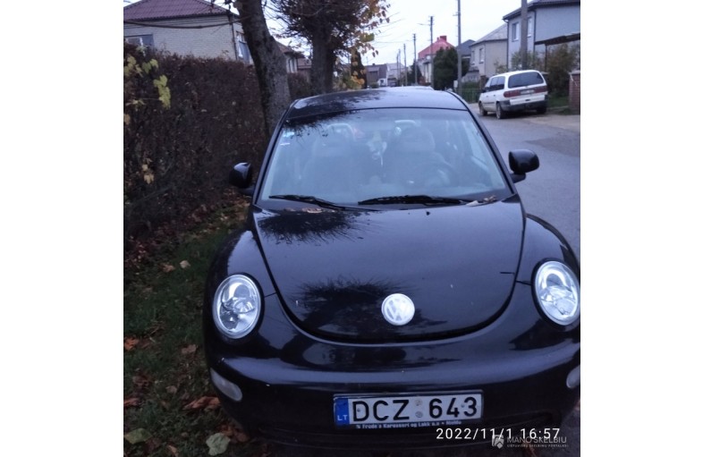 vw beetle