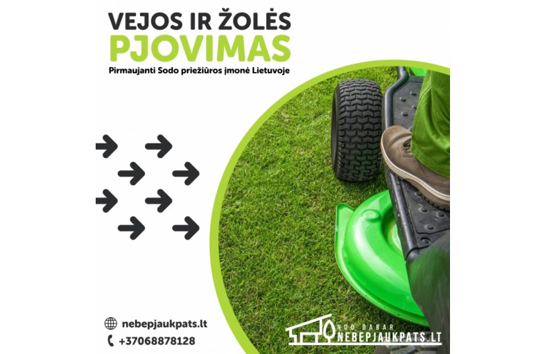 Žolės, vejos pjovimas
