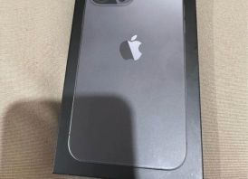 12 Pro Max 