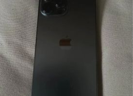 12 Pro Max 