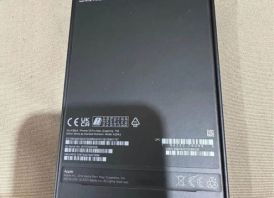 12 Pro Max 