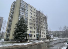 2 kambarių butas Rokiškyje Panevėžio g.