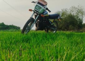 Honda MBX