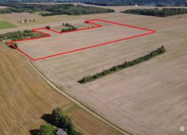 6,98 ha