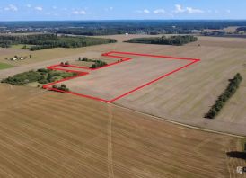 6,98 ha