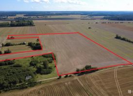 6,98 ha