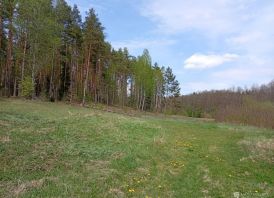 Sklypas prie Merkio upės (ribojasi) Varėnos r