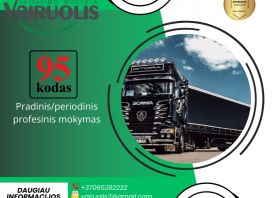 95 kodas pradinis/periodinis eksternu!