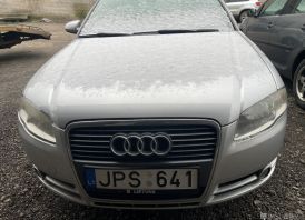 A4 B7 dalimis