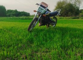 Honda MBX