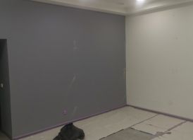 Apdailos darbai Viniuje