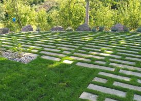 Apželdinimo paslaugos