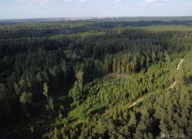 9.8287 ha miško sklypas Kauno r.