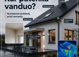 Bėga per stogą? Pratekėjimo diagnostika be ardymo