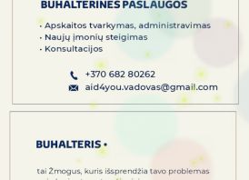 Buhalterinė apskaita ir ne tik
