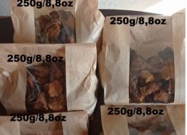 Chaga, Juodasis Berzo Grybas