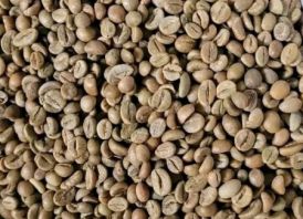 COFFEE FOR EXPORT