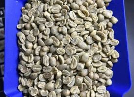COFFEE FOR EXPORT