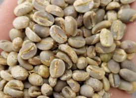 COFFEE FOR EXPORT