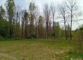Sklypas prie Merkio upės (ribojasi) Varėnos r