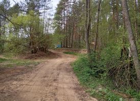 Sklypas prie Merkio upės (ribojasi) Varėnos r