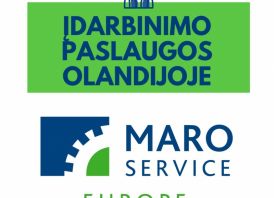 Darbas OLANDIJOJE