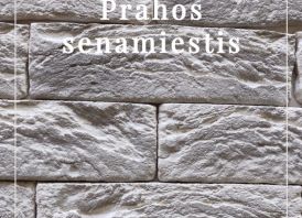 Dekoratyvinis akmuo 
