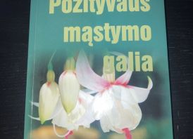Knyga Pozytivaus mastymo galia