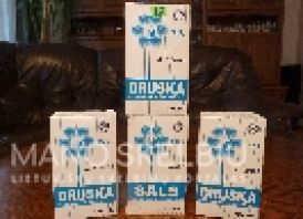 DRUSKA RUPI UKRAINIETISKA