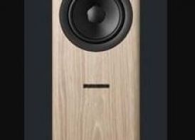 Dynaudio Evoke 30