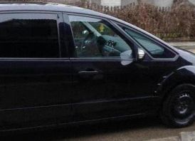 FORD s max