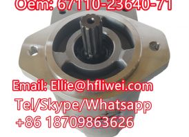 Forklift Parts Hydraulic Pump 67110-23640-71