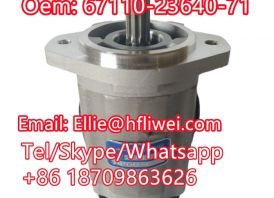 Forklift Parts Hydraulic Pump 67110-23640-71