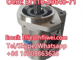 Forklift Parts Hydraulic Pump 67110-23640-71
