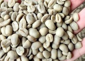 Green Arabica Coffee For Sell