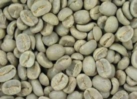 Green Arabica Coffee For Sell