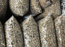 Green Robusta Coffee For Sell