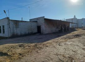 Išnuomuojamos 244 m2 patalpos su 31a. žeme